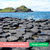 Vendredi 23/07/2027  La beauté sauvage de l'Irlande, le grand tour : Dublin, Belfast, La Chaussée des Géants, la région du Connemara, Galway, Doolin, Cliffs of Moher, Cork, Rock of Cashel, Roscoff✔️CONFIRMÉ