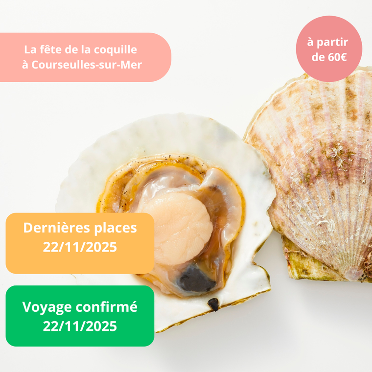 Samedi 22/11/2025 La fête de la coquille Saint-Jacques à Courseulles-sur-Mer✔️CONFIRMÉ Samedi 22/11/2025 La fête de la coquille Saint-Jacques à Courseulles-sur-Mer✔️CONFIRMÉ