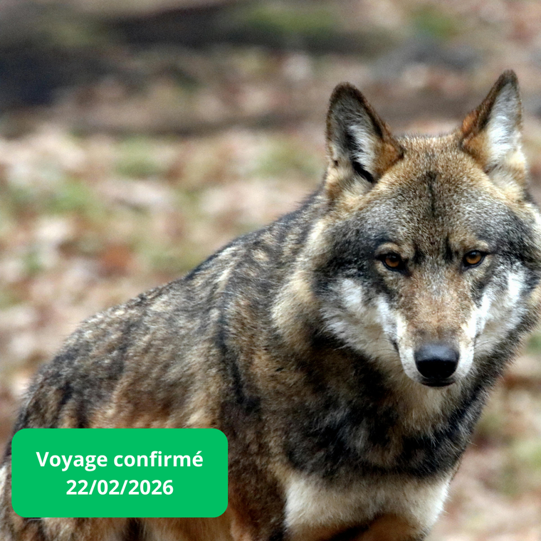 Dimanche 22/02/2026 Reims et le Parc Argonne découverte✔️CONFIRMÉ