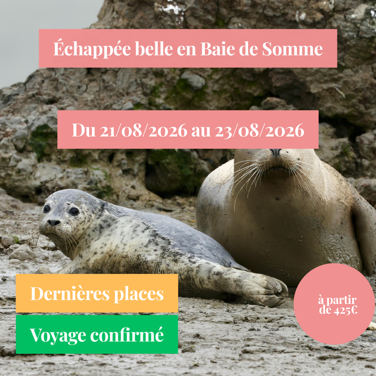Vendredi 21/08/2026 Echappée belle en Baie-de-Somme au sein de l'hôtel Régina Berck 3 étoiles✔️CONFIRMÉ