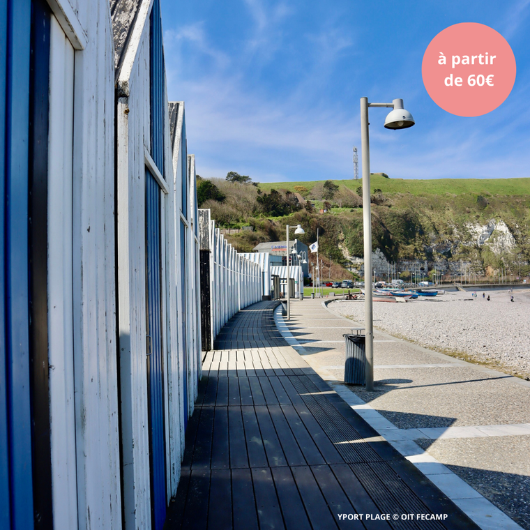 Samedi 23/05/2026 Yport