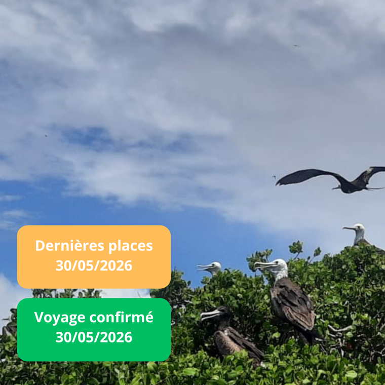 Samedi 30/05/2026 Le Crotoy et la réserve ornithologique de Grand-Laviers✔️CONFIRMÉ