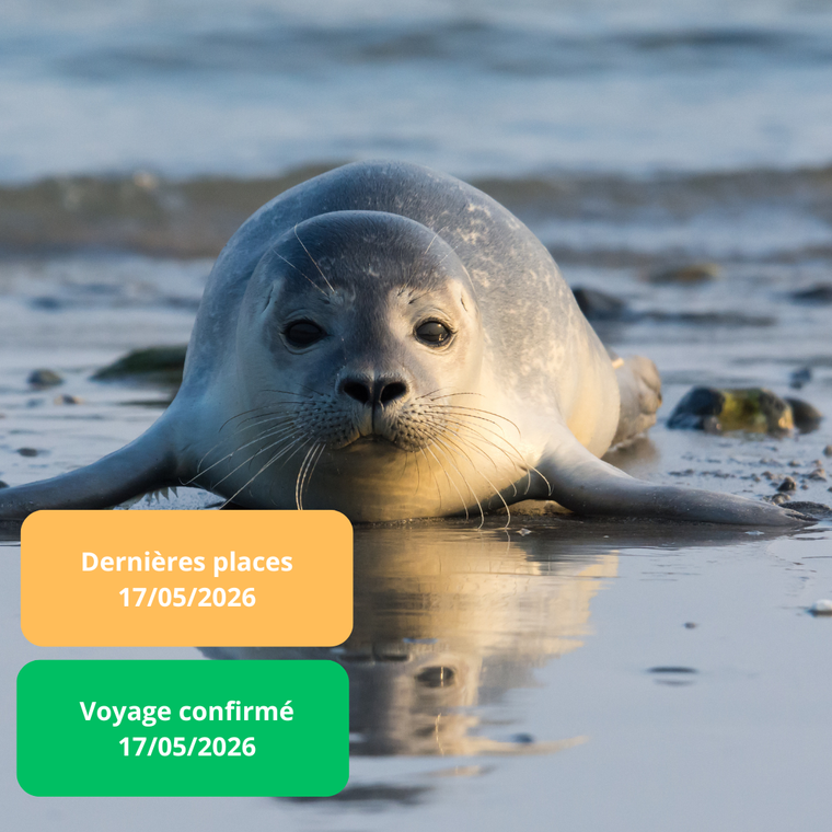 Dimanche 17/05/2026 Baie de Somme et promenade en bateau✔️CONFIRMÉ