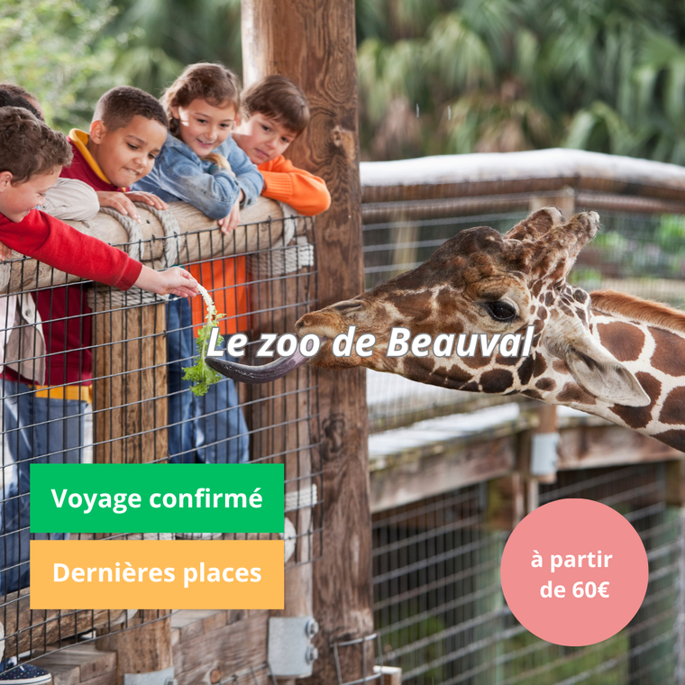 Dimanche 25/10/2026 Zoo de Beauval✔️CONFIRMÉ