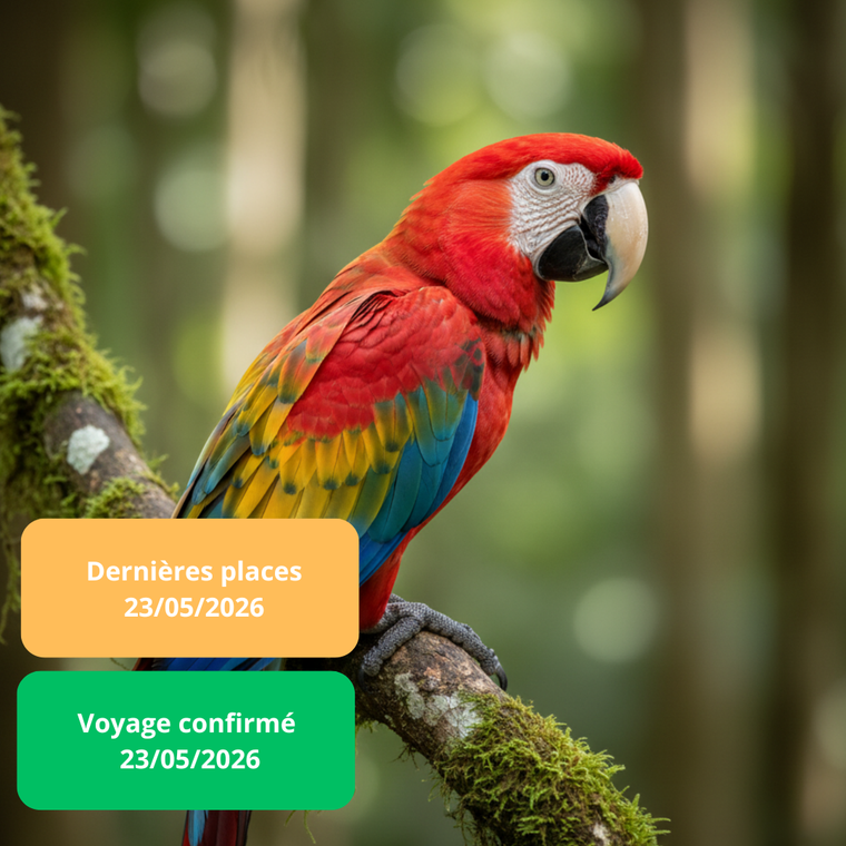 Samedi 23/05/2026 Parrot World✔️CONFIRMÉ