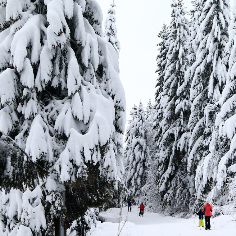 Vendredi 12/02/2027 Plaisirs gourmands et Randonnées Vosgiennes