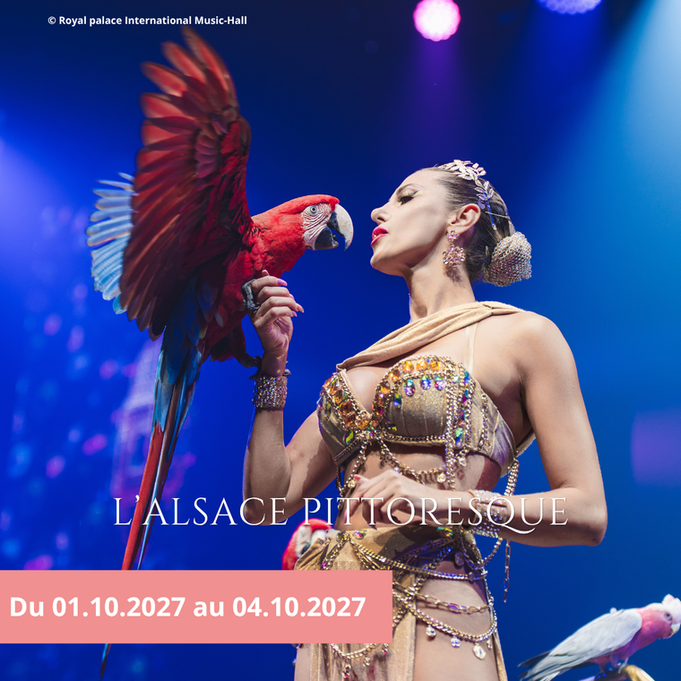 Vendredi 01/10/2027 L'Alsace pittoresque et gourmande