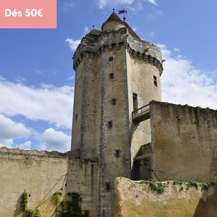 Dimanche 21/07/2024 Le Château Fort de Blandy-les-Tours