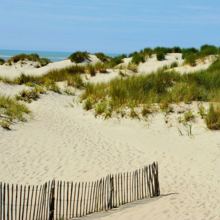 Samedi 17/08/2024 - De Berck au Touquet : randonnée iodée