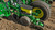 https://www.deere.com/assets/images/region-4/products/planting-equipment/row-units/max-emerge-5e/r4g023182_rrd_1366x768_large_1f2ad974967051ce914b73561c2fdb2fcd003bce.jpg
