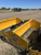 https://api.rdoequipment.com/api/EquipmentImage?imgID=18704280&filename=1_Z096450-(2).jpg
