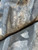 https://api.rdoequipment.com/api/EquipmentImage?imgID=19598188&filename=2_X983582-Tires-1_Trent-Rico.jpg