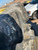 https://api.rdoequipment.com/api/EquipmentImage?imgID=19598191&filename=1_X983582-Tires-4_Trent-Rico.jpg