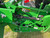https://api.rdoequipment.com/api/EquipmentImage?imgID=20546337&filename=17_Z151121---17.jpg