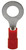 https://store-c15gp8ieyg.mybigcommerce.com/product_images/import/ai_R05.jpg