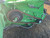 https://api.rdoequipment.com/api/EquipmentImage?imgID=21766567&filename=9_Z209378---09.jpg