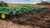 https://www.deere.com/assets/images/region-4/products/tillage/primary-tillage/2430-chisel-plow/2430_ChiselPlow_r4f010078_large_e03acf84f53d16ae4b7a77828e195429b6cb5fe0.jpg