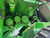 https://api.rdoequipment.com/api/EquipmentImage?imgID=23196026&filename=28_Z232495---28.jpg