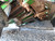 https://api.rdoequipment.com/api/EquipmentImage?imgID=22890708&filename=26_Z246005---26.jpg