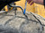 https://api.rdoequipment.com/api/EquipmentImage?imgID=22770041&filename=36_Z008425---36.jpg