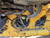 https://api.rdoequipment.com/api/EquipmentImage?imgID=22810844&filename=17_Z008457---17.jpg