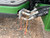 https://api.rdoequipment.com/api/EquipmentImage?imgID=23150153&filename=12_Z099258---17.jpg