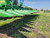 https://api.rdoequipment.com/api/EquipmentImage?imgID=23384976&filename=10_Z254390---10.jpg