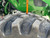 https://api.rdoequipment.com/api/EquipmentImage?imgID=23266777&filename=22_Z213576---26.jpg