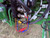 https://api.rdoequipment.com/api/EquipmentImage?imgID=23436079&filename=28_4052R-Z214891-(32).jpg