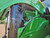 https://api.rdoequipment.com/api/EquipmentImage?imgID=23434744&filename=20_1RW9590DCRJ825861---20.jpg