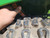 https://api.rdoequipment.com/api/EquipmentImage?imgID=23572799&filename=26_Z269658---26.jpg