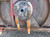 https://api.rdoequipment.com/api/EquipmentImage?imgID=24350522&filename=19_Z272675---20.jpg