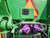 https://api.rdoequipment.com/api/EquipmentImage?imgID=23864882&filename=16_1RW8270RTAD007922---16.jpg