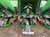 https://api.rdoequipment.com/api/EquipmentImage?imgID=23916402&filename=23_Z222797---24.jpg