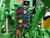 https://api.rdoequipment.com/api/EquipmentImage?imgID=23852971&filename=14_Z265706---15.jpg