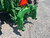 https://api.rdoequipment.com/api/EquipmentImage?imgID=23783091&filename=18_Z277156---18.jpg