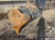 https://api.rdoequipment.com/api/EquipmentImage?imgID=21998332&filename=11_H85277---11.jpg