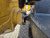 https://api.rdoequipment.com/api/EquipmentImage?imgID=22902171&filename=15_X3469p5---15.jpg