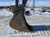 https://api.rdoequipment.com/api/EquipmentImage?imgID=22514599&filename=11_X347827---11.jpg