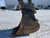 https://api.rdoequipment.com/api/EquipmentImage?imgID=22514601&filename=13_X347827---13.jpg