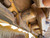 https://api.rdoequipment.com/api/EquipmentImage?imgID=21765189&filename=25_X361800---25.jpg
