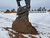 https://api.rdoequipment.com/api/EquipmentImage?imgID=22659002&filename=36_X370703---36.jpg