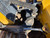 https://api.rdoequipment.com/api/EquipmentImage?imgID=21585331&filename=19_X388360---19.jpg