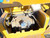 https://api.rdoequipment.com/api/EquipmentImage?imgID=22123010&filename=25_X396215---25.jpg
