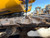 https://api.rdoequipment.com/api/EquipmentImage?imgID=22046536&filename=21_X449492---21.jpg