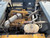 https://api.rdoequipment.com/api/EquipmentImage?imgID=22009062&filename=27_X467571---27.jpg