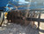 https://api.rdoequipment.com/api/EquipmentImage?imgID=23173351&filename=17_X579710---17.jpg
