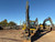 https://api.rdoequipment.com/api/EquipmentImage?imgID=22004577&filename=8_X701416---08.jpg