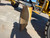 https://api.rdoequipment.com/api/EquipmentImage?imgID=22033635&filename=31_X712634---31.jpg