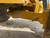 https://api.rdoequipment.com/api/EquipmentImage?imgID=21821126&filename=21_X717350---21.jpg